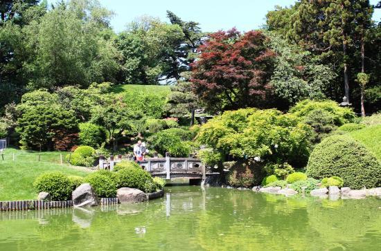 Jardin botanique de Brooklyn